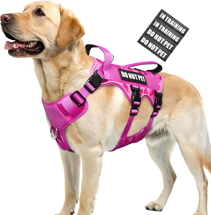 WINSEE Escape Proof Dog Harness with Double Handle+4 Removable Patches | Service Working Molle Harness with Double Handle for Large Dogs, Tactical Pet Reflective Vest for Walking Hiking Hunting by WINSEE
