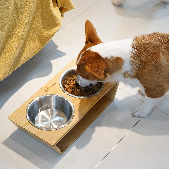 HB 2.5 Cups Stainless Steel Dog and Cat Bowls Small - 6.2" Diameter | fits Raised Pet Feeders with Opening 5.4"- 5.8" (2-Pack) - Image 7