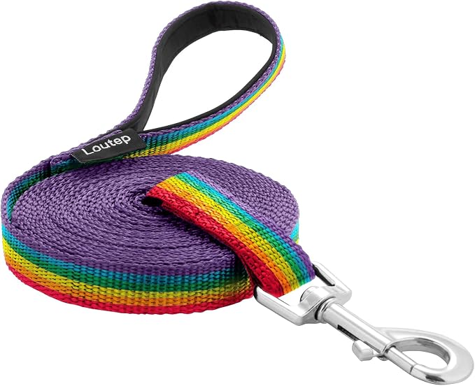 Long Line Dog Training Leash with Padded Handle, 100 ft, Rainbow | Durable nylon webbing with reinforced stitching and 360° swivel clip for recall and obedience by Loutep
