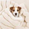 Dog Blanket for Small Dogs, Soft Rabbit Fur Puppy Blanket 25x35 White | Nodarko Double-Sided 600GSM Rabbit Fur & Fleece Dog Blanket, Washable Pet Blanket for Couch, Crate & Car Seat by NODARKO
