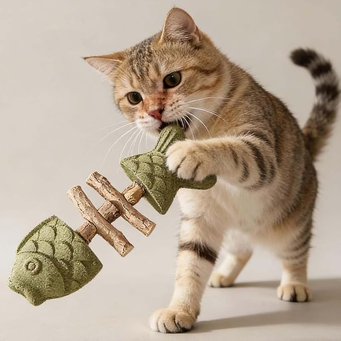 2026 New Creative Fish Bone Cat Dental Chew Toy, Natural Fishbone Catnip & Silvervine Chew Toy, Interactive Kitten Chew Playthings for Cats Teeth Cleaning (Mixed Flavors, 3Pcs) - Image 5