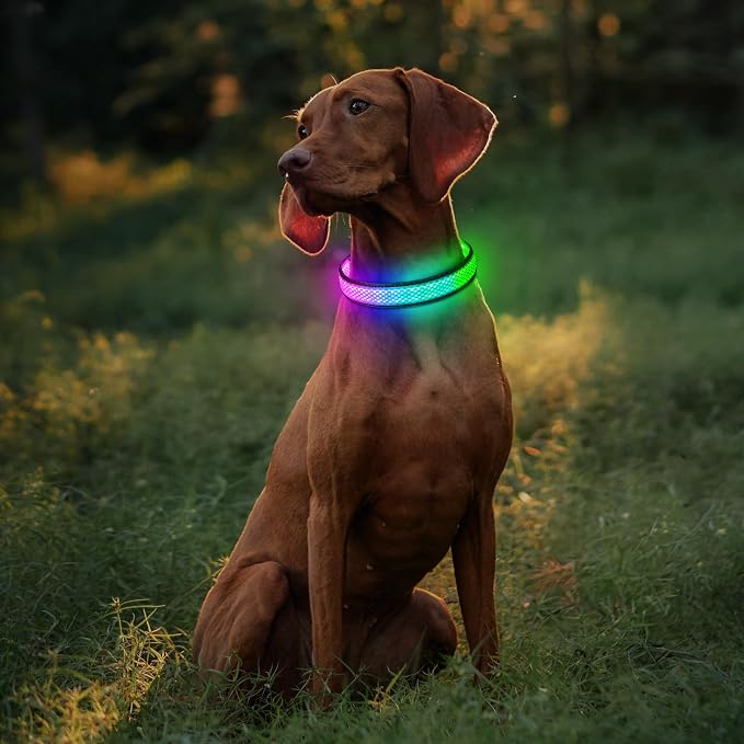Flashseen Light up Collars for Dogs at Night, RGB 9-Mode, USB Rechargeable | Color Changing LED Lighted Dog Collar, Super Bright Adjustable Glow Collar for Night Walking (Soft Pink, Large) - Image 7