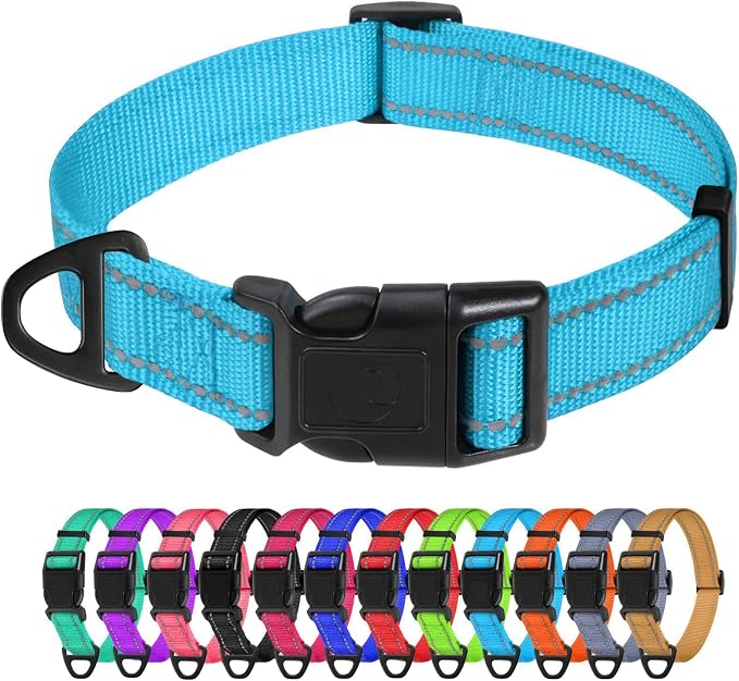 TagME Medium Dog Collar, Reflective Nylon Collar, Sky Blue, 1.0" Width | Soft Nylon Dog Collar With Reflective Stitching for Night Walks, Adjustable Fit, Quick-Release Buckle for Easy On & Off by TagME