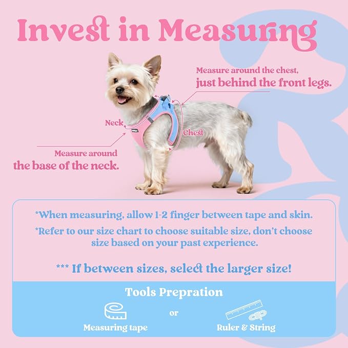 rabbitgoo Step-in Small Dog Harness, Puppy Vest for Medium Sized Pet | Easy Put on and off, Lightweight, Soft, Breathable Quick-Dry Air Mesh for Comfortable Secure Walking, Blue & Light Pink XXL - Image 2