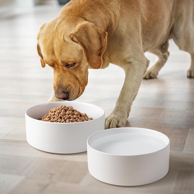 Ceramic Dog Bowls Replacement Set of 2, Compatible with Medium Elevated Stand, 60 oz Heavyweight Food-Grade Feeding Bowls for Small & Medium Dogs, Microwave & Dishwasher Safe (White, 7.6 Cups) - Image 4