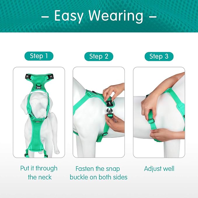 PoyPet Mesh Dog Harness, Reflective Breathable Puppy Vest for Large Dogs | Lightweight, Soft Air Mesh, Back D-ring, Adjustable, Comfortable, Double Padded, No Choke, for Daily Walking, L, Mint Green - Image 4