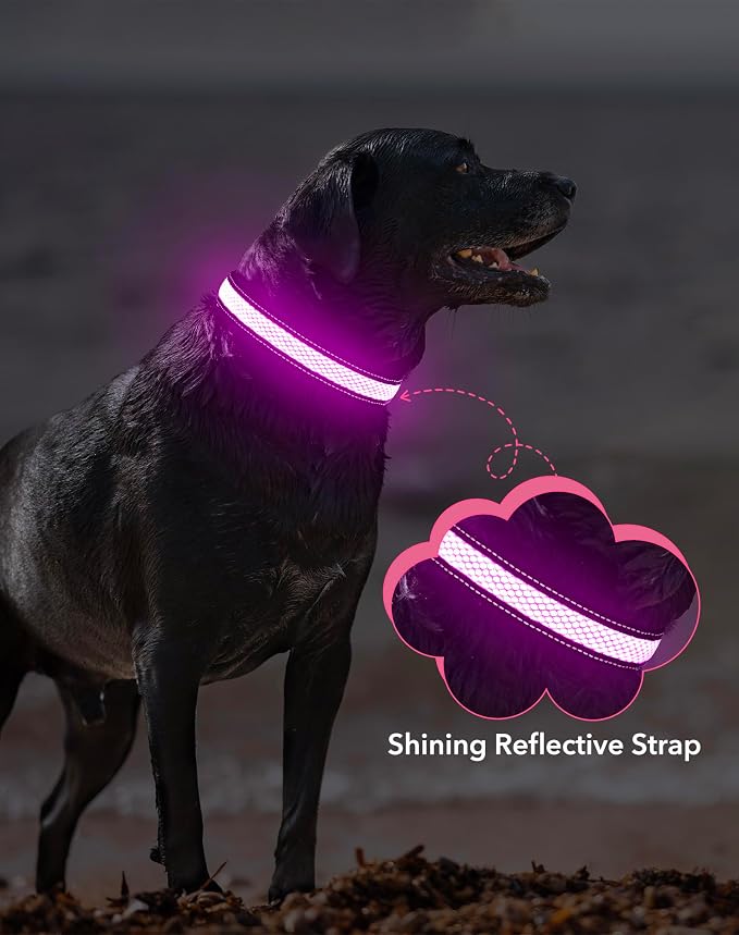 Weesiber Light Up Dog Collar, USB Rechargeable LED Dog Collar Glow in The Dark, Adjustable Reflective Waterproof Dog Collar Light for Night Walking(Pink, S) - Image 8