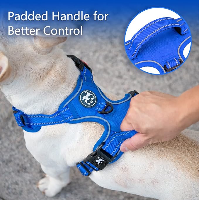 PoyPet No Pull Dog Harness, Reflective Vest with 2 Leash Clips & Handle | Lockable Neck Release Buckle, No Choke, Adjustable, Soft Padded, for Walking Training, Royal Blue, Large - Image 6