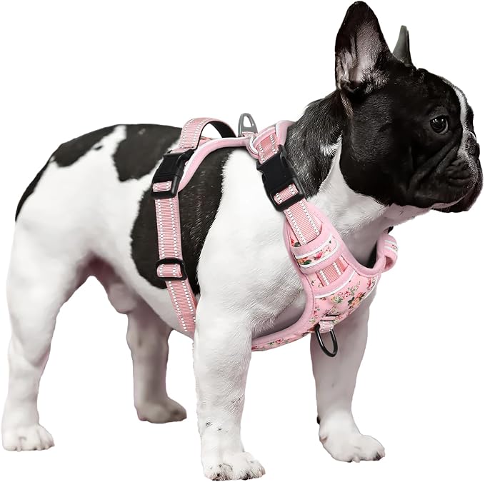 Timos Small Dog Harness, No Pull No Choke, Easy On & Off, Flower Pink, XS | Adjustable Reflective Soft Padded, Neck Quick Release with 3 Buckles, Front & Back 2 Clips and Handle for Walking Training - Image 6