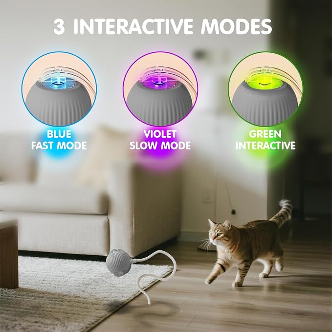 Rocfish Durable Interactive Cat Toys for Indoor Cats (Grey, 01) | Smart Automatic Cat Chase Ball Toy, Upgraded Speedy Tail Kitten Toy for Bored Indoor Adult Pets - Image 4