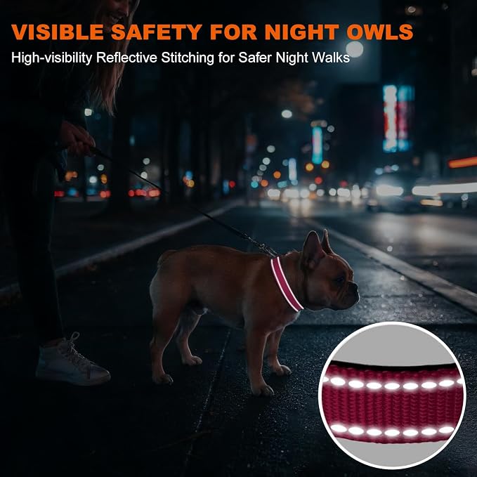 Taglory Reflective Small Dog Collar, Comfort for Safe Night Walks, Hotpink | Night-Walk Visibility, Soft Neck Cushioning, Adjustable 10-16 in, Locking Buckle, D-Ring for Leash and ID Tags - Image 5