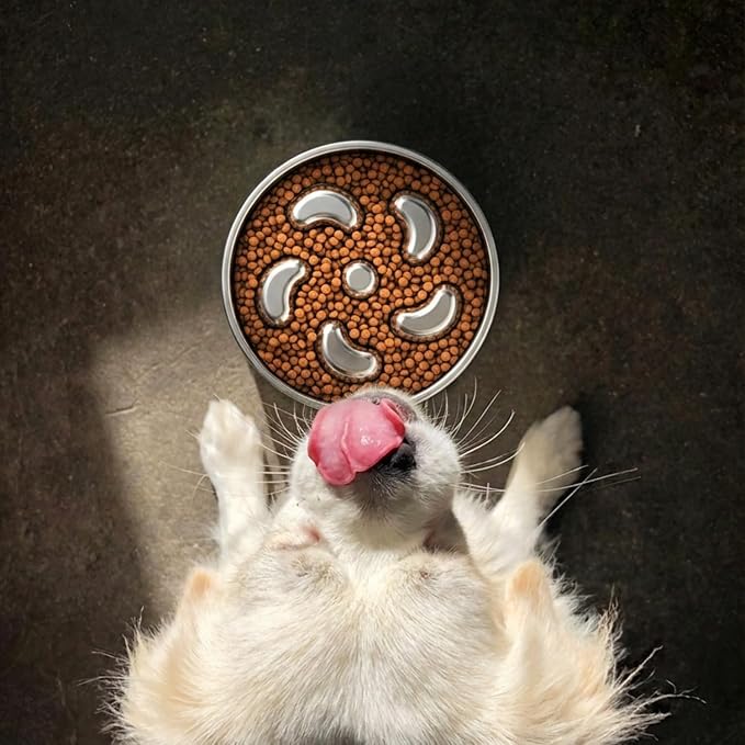 Feedoo Slow Feeder Dog Bowl-2Cups for Medium Breeds, Double-Layer Stainless Steel, Heavy-Duty with Non-Slip Rubber Base, Puzzle Maze Bowl to Slow Down Eating [2Pack] - Image 8