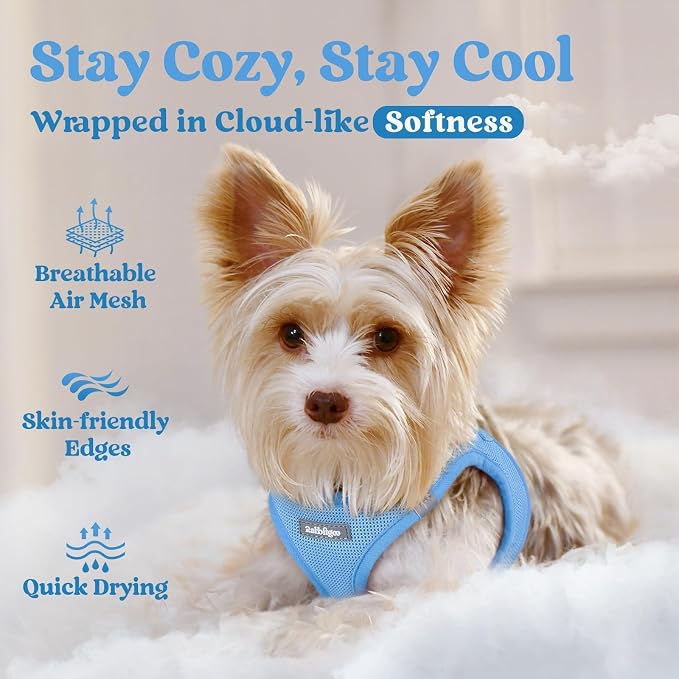 rabbitgoo Step-in Small Dog Harness, Puppy Vest for Small Sized Pet | Easy Put on and off, Lightweight, Soft, Breathable Quick-Dry Air Mesh for Comfortable Secure Walking, Blue XS - Image 3