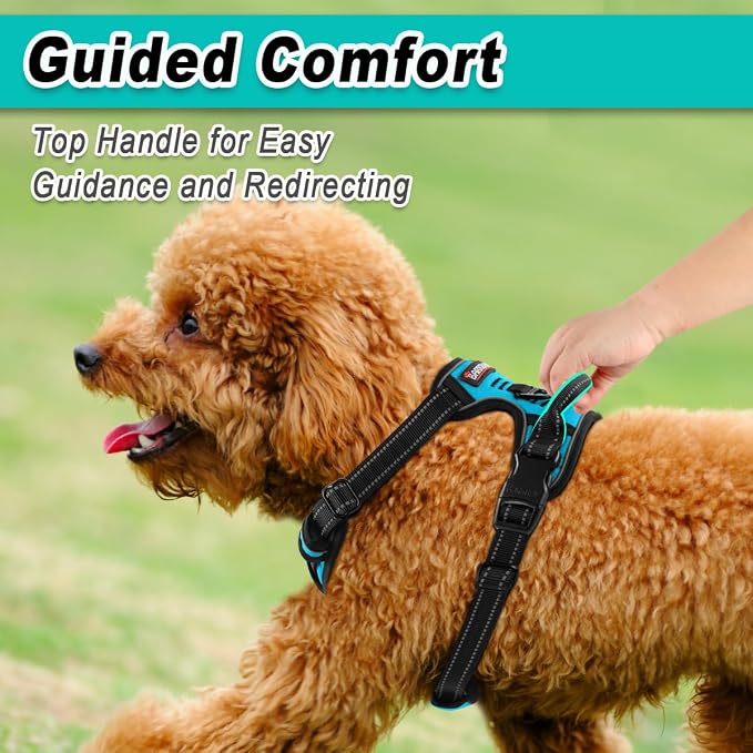 BARKBAY Dog Harness for Small Sized Dog No Pull 2 Leash Clips Dog Vest | Control Handle,Comfort,Heavy Duty,Adjustable Reflective,Perfect for Outdoor Training, Walking,Hiking(XS,Blue) - Image 4