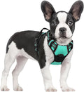 rabbitgoo Dog Harness, No Pull for Small Dogs with 2 Leash Clips, Pet Vest | No Choke with Handle, Adjustable Soft Padded, Reflective, Easy Control for Walking, Turquoise, Small by rabbitgoo