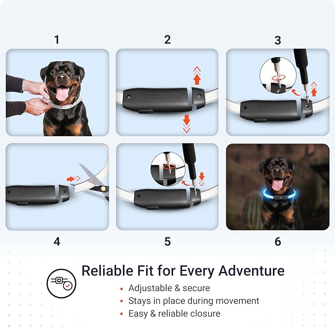 PAJ Light LED Dog Collar for Medium & Large Dogs | USB Rechargeable - Waterproof - 7 Light Colors - Flash Mode - Cut-to-Fit Length - Image 6