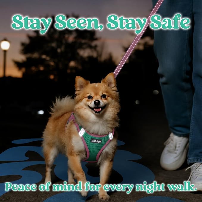 rabbitgoo Dog Harness Small Sized and Leash Set, Step in Soft Vest | Breathable Mesh, Easy Wear with Hook & Loop, Light and Reflective for Walking, Multi-colored, Teal & Pink, XXS - Image 5