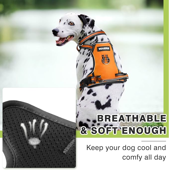Dog Harness No Pull, Pet Harnesses with Dog Collar, Adjustable Reflective Oxford Outdoor Vest, Front/Back Leash Clips for Small, Medium, Large, Extra Large Dogs, Easy Control Handle for Walking - Image 8