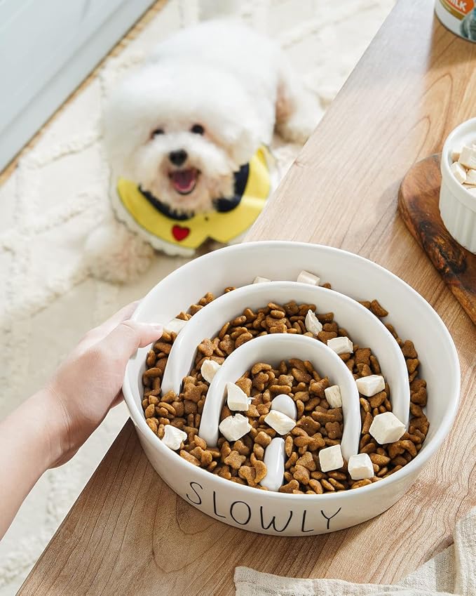 LE TAUCI PET Ceramic Slow Feeder Dog Bowls Elevated, 3 Cups Raised Dog Bowl with Wooden Stand for Medium Large Breed to Slow Down Eating, Puzzle Food Bowl,White - Image 2