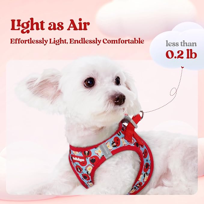 rabbitgoo Dog Harness Small Sized and Leash Set, Step-in Puppy Pet Vest | Light, Soft, Breathable Air Mesh, Easy on and Remove with Hook & Loop, Secure Reflective for Walking, Apple Pups XXS - Image 3