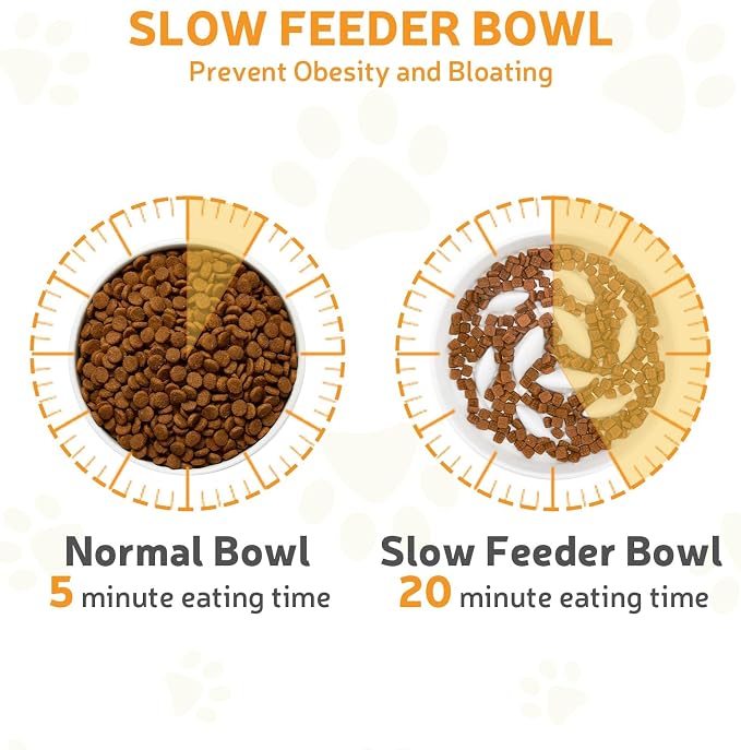Ceramic Slow Feeder Cat Bowl 6.3" Wide (White) | Anti-Gulping & Keep Fit, Dishwasher Safe, For Dry and Wet Food, For Cats and Small Dogs, Shallow Bottom Puzzle Feeder - Image 4