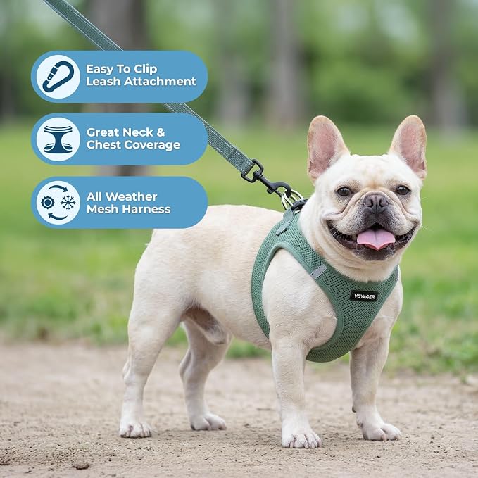 Best Pet Supplies Voyager Step-in Air All Weather Mesh Harness and Reflective Dog 5ft Leash Combo with Neoprene Handle, for Small, Medium and Large Breed Puppies - Moss Green, X-Small - Image 5