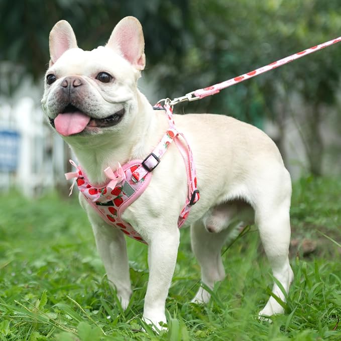 PUPTECK Dog Harness and Leash Set Medium Sized, Step in No Pull Adjustable Puppy Cat Harness Reflective Pet Vest - Image 5