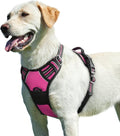 Eagloo Dog Harness for Large Dogs, No Pull Pet Vest with 2 Leash Clips | No Choke with Handle, Adjustable Comfort Fit, Reflective Strips, Easy Walking Control, Rose Red, Large by GoExplorewithEagloo