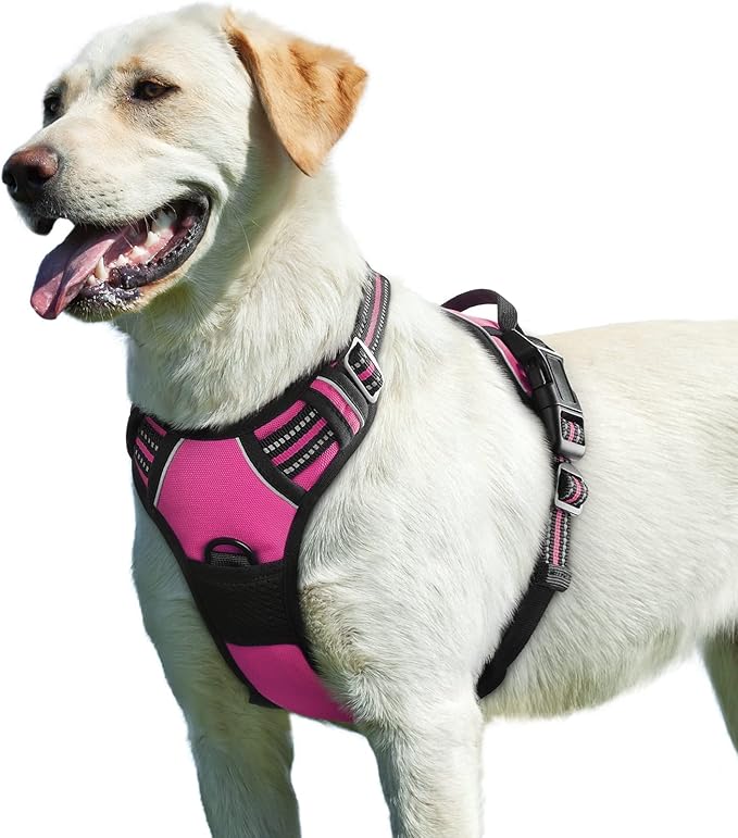 Eagloo Dog Harness for Large Dogs, No Pull Pet Vest with 2 Leash Clips | No Choke with Handle, Adjustable Comfort Fit, Reflective Strips, Easy Walking Control, Rose Red, Large by GoExplorewithEagloo