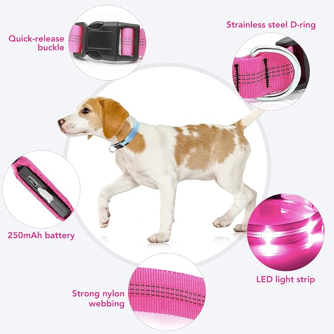 Weesiber Light Up Dog Collars - Rechargeable LED Collar - Reflective Adjustable Dog Lights for Night Walking (Pink, Small) - Image 3