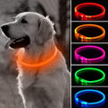 LED Dog Collar, USB Rechargeable Glowing Pet Collar, TPU Cuttable Dog Safety Lights for Small Medium Large Dogs (Orange),70cm by BSEEN