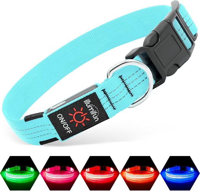 Illumifun Light Up Dog Collar, USB Rechargeable LED Dog Collar, Adjustable Reflective Lighted Pet Collar for Night Walking Camping (BlueⅢ, Large) by Illumifun
