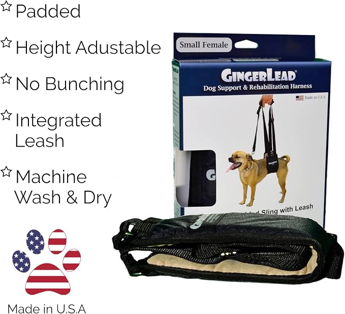 Dog Rear Sling Support Harness, SM Female, Machine Wash & Dry | Fits Small to Medium Size Dogs or Larger Barrel-Chested Breeds like Boxers, Bullies. Padded, Integrated Leash. Made in U.S.A. - Image 3