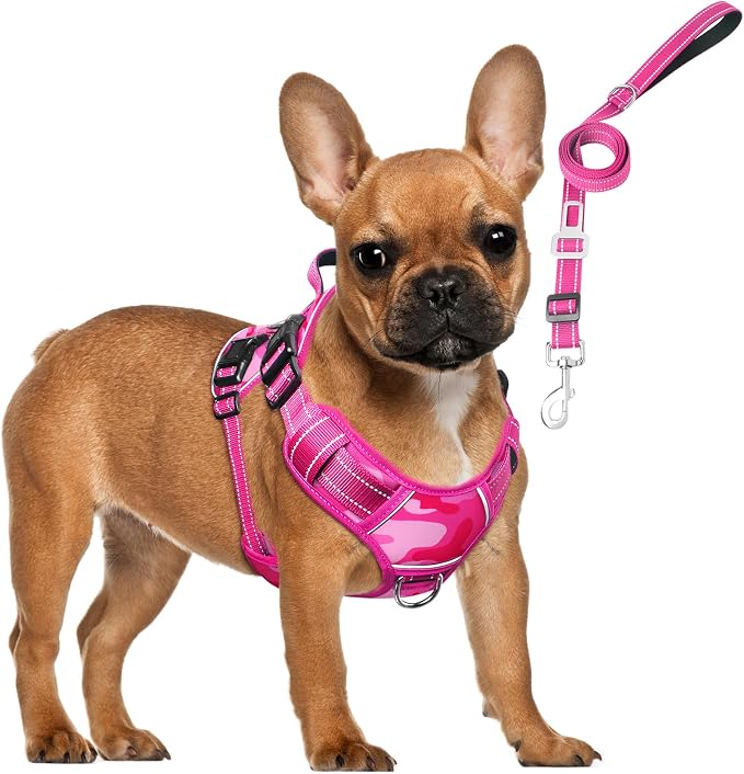 Tactical Service Dog Vest and Leash Set with 10 Patches Camo Pink S | Adjustable No Pull Service Dog Harness for Small Sized Dog with Dog Seat Belt,Reflective Easy Walk for Training Hiking by MOOGROUPETSFRIEND