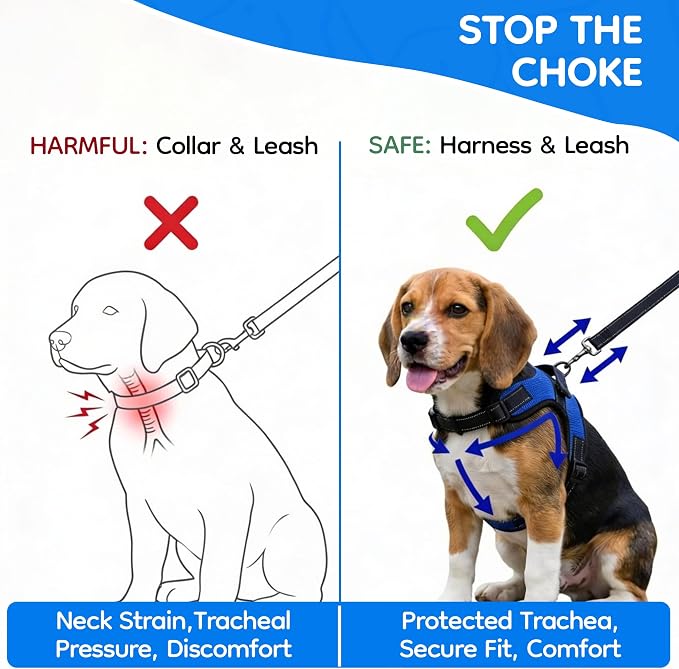 No Pull Reflective Adjustable Dog Harness With Handle- Comfortable Soft All Weather Mesh, Easy On Puppy Harness For Small Medium and Large Dogs (Blue) Medium - Image 5