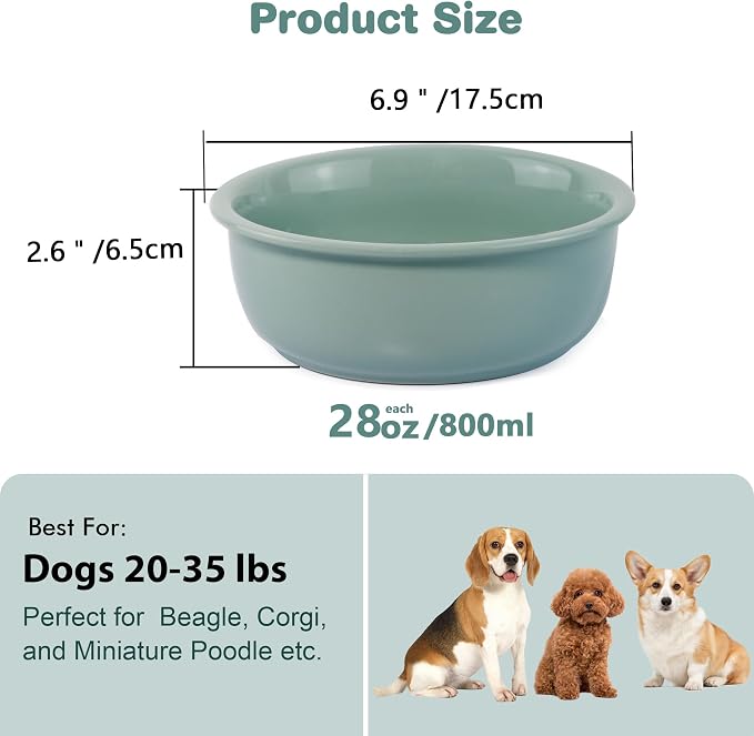 Ceramic Replacement Dog Bowl for Wordcam SS02 Model, 6.9"X2.6", Light Green | Food and Water Bowl Set, for Small Medium Cats, Pet Feeding Dishes for Dogs 20-35lbs, Thicker Ceramic, Anti-Skid, 28Oz/800ML - Image 2