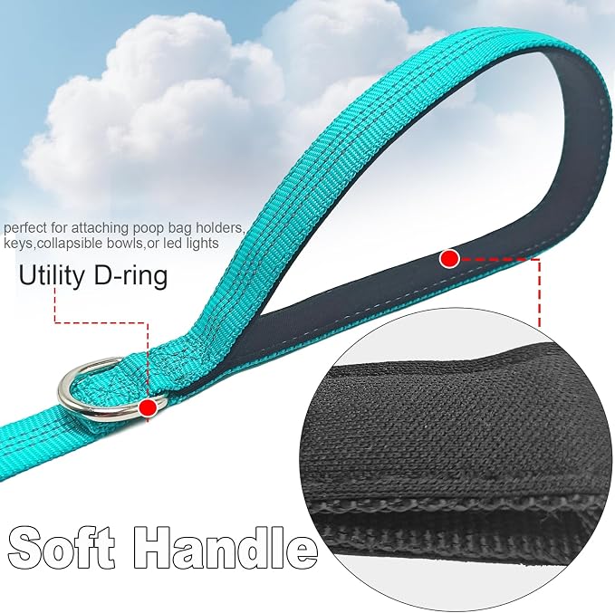 5FT Bungee Dog Leash Shock Absorbing Reflective Small Medium Dogs | Nylon Lightweight Leash- 2cm Wide- Anti- Pull Training- 6 Colors (Turquoise) - Image 3