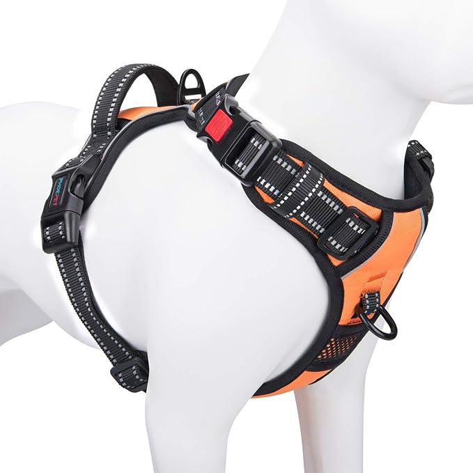 No Pull Dog Harnesses for Small Dogs Reflective Adjustable | Front Clip Vest with Handle 2 Metal Rings 3 Buckles [Easy to Put on & Take Off] (XS, Orange) by PHOEPET