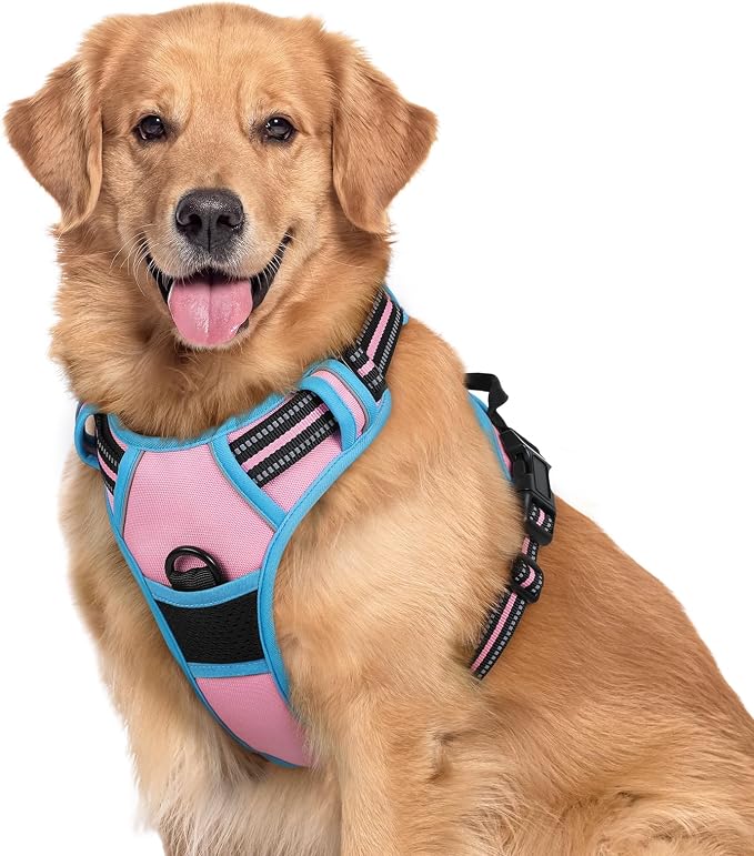 rabbitgoo Dog Harness, No Pull for Large Dogs with 2 Leash Clips, Pet Vest | No Choke with Handle, Adjustable Soft Padded, Reflective, Easy Control for Walking, Pink & Blue, X-Large by rabbitgoo