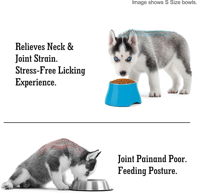Dog Bowls,Cone Friendly Non Slip Single Dog Bowl with Stainless Steel Inner, Raised Bowls for Small Dogs Spaniel Dogs Long Ear, High Capacity, M/2 Cup Blue - Image 5