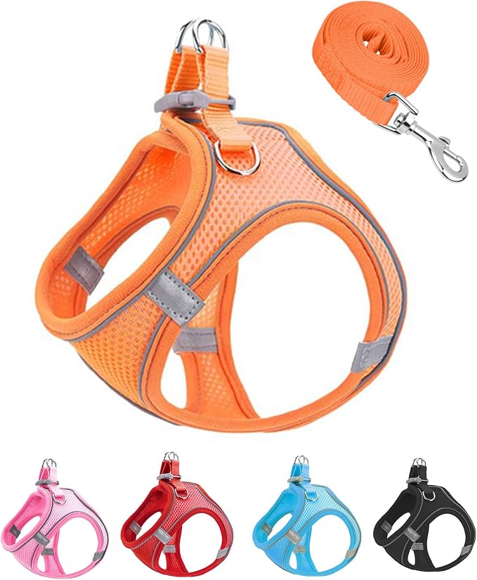 XS Orange Soft Mesh Dog Harness and Leash Set,No Escape Puppy Harnesses for Training Walking， Reflective Adjustable Puppy Vest for Small Medium Dogs, Cats (Orange, XS) by Unknown