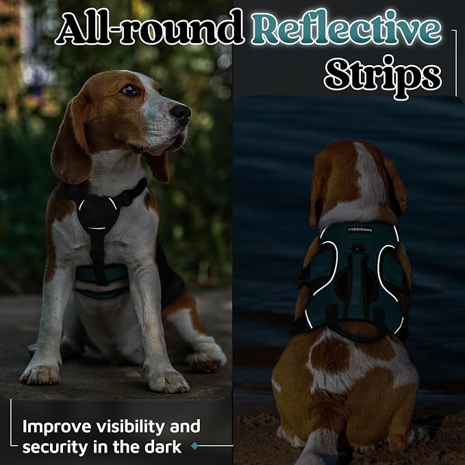 rabbitgoo Escape Proof Dog Harness for Small, No Pull with Lift Handle | No Escape, Full Soft Padded, Reflective Adjustable Vest, Leash Clip for Walking Hiking Training, Dark Green, Small - Image 8