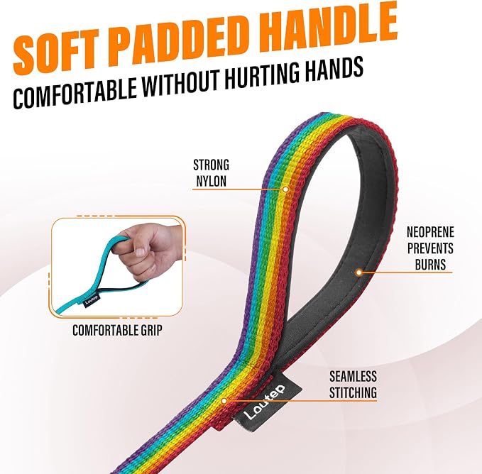 Long Line Dog Training Leash with Padded Handle, 100 ft, Rainbow | Durable nylon webbing with reinforced stitching and 360° swivel clip for recall and obedience - Image 3