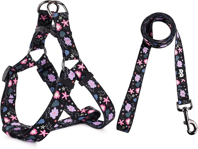 Dog Harness Leash Set Adjustable Heavy Duty No Pull Halter Harnesses for Small Medium Large Breed Dogs Back Clip Anti-Twist Perfect for Walking by QQPETS