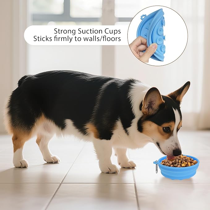 2-Pack Collapsible Dog Bowls with Suction Cups & Scraper - 16oz Travel Pet Bowls for Food/Water, Non-Slip Feeding Dish for Dogs, Includes Carabiner Clip Blue&Grey - Image 6