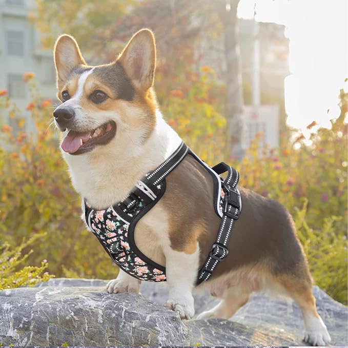 Timos Dog Harness Medium Sized, Quick Release 3 Buckles, Black Rose, M | Reflective No Pull No Choke, Easy On & Off, Adjustable Soft Padded, Front & Back 2 Clips and Control Handle for Walking - Image 7