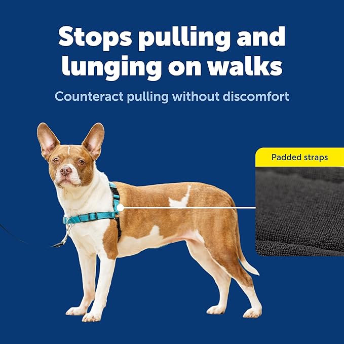 PetSafe Easy Walk Deluxe Dog Harness, No Pull Dog Harness – Perfect for Leash & Harness Training – Stops Pets from Pulling and Choking on Walks – Medium, Ocean - Image 5