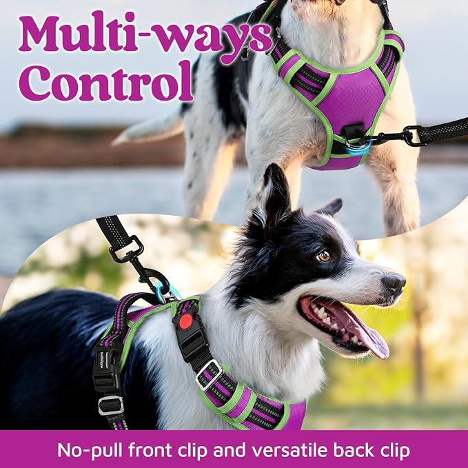 rabbitgoo Dog Harness Medium Sized, No Pull 3 Buckles Easy On & Off | Soft Padded, Walking with Control Handle, Adjustable and Reflective, Purple & Light Green, Medium - Image 3