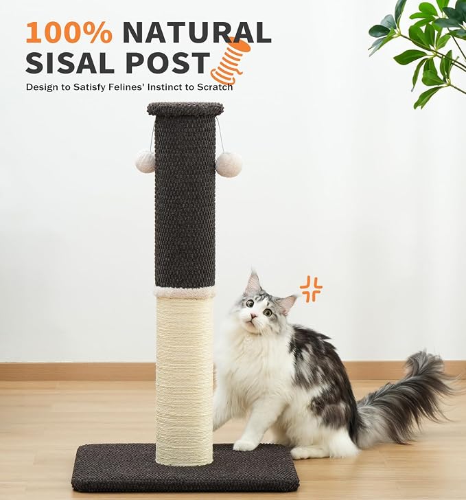 Made4Pets Cat Scratching Post with Sisal & Carpet for Indoor Cats, 23.6" | Cat Scratcher with Wide Stable Base, Interactive Hanging Toys, Ideal for Kittens, Small Cats and Everyday Indoor Play - Image 8