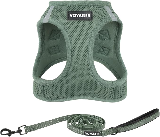 Best Pet Supplies Voyager Step-in Air All Weather Mesh Harness and Reflective Dog 5ft Leash Combo with Neoprene Handle, for Small, Medium and Large Breed Puppies - Moss Green, X-Small by BestPetSuppliesLLC